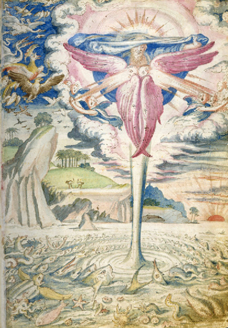 plate 9